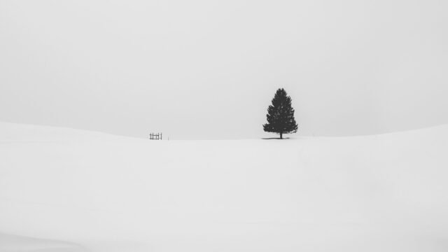 cristina-gottardi-4L-AyDJM-yM-unsplash-scaled-1