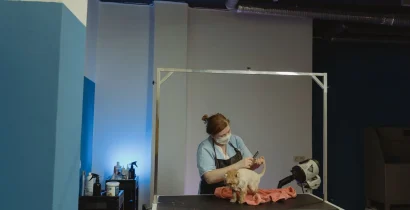 トリマーが小型犬を丁寧にお手入れしている様子